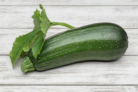 Summer Squash, Zucchini Cashflow Hybrid Seeds – Hometown Seeds