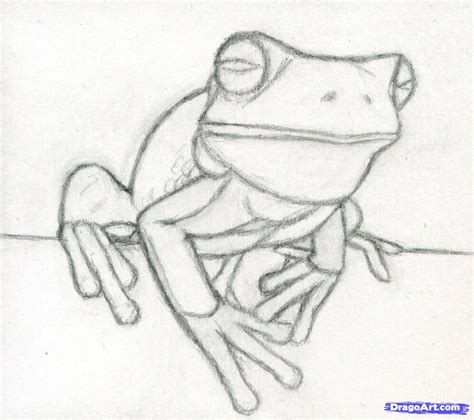 Cute Frog Drawing Realistic - HD Wallpapers