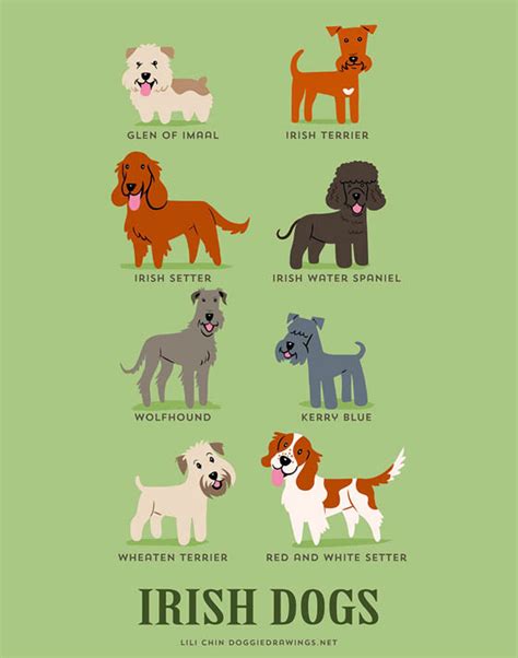 Dogs of The World: 192 Adorable Dog Breeds Illustration Grouped by ...