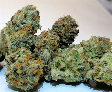 Cookies | Marijuana Strain Reviews | AllBud