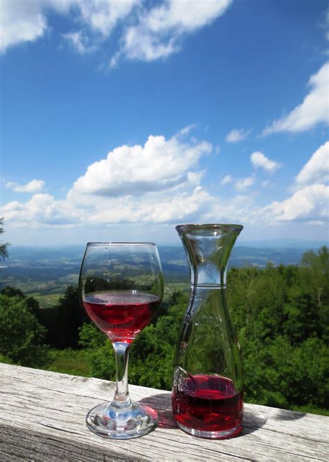 Wine Tasting Tours Packages & Services | Oregon Wine Tours & Tastings