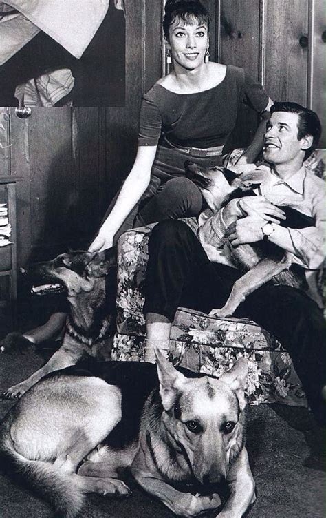 Pin by Kathy Hawes ♋ on German Doggies | Classic movie stars, Tv ...