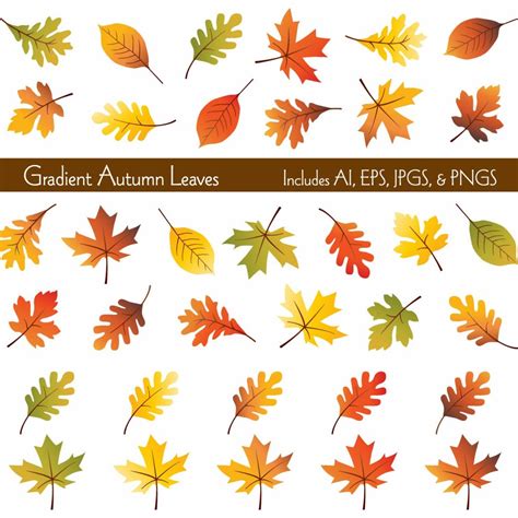 Watercolor Fall Leaves Clipart | Master Bundles