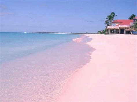 Plage de sable rose sur l'île de Harbour aux Bahamas | Pink sand beach ...