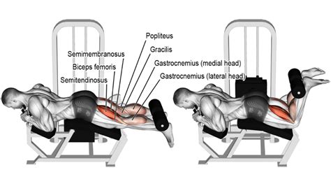 15 Best Hamstring Exercises For Mass and Strength