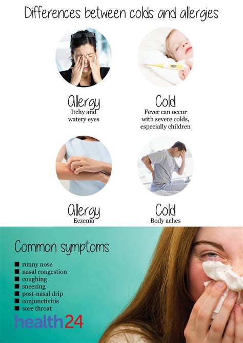 Is it a cold or an allergy? | Health24