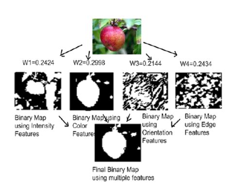 Comparision between multiple feature map and single feature map. The ...