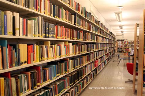 Shelves and shelves of library books | Of the Angels Designs