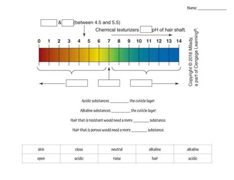 Free ph scale worksheet, Download Free ph scale worksheet png images ...