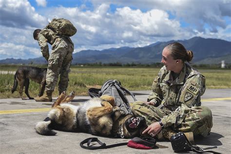 Army MOS List: A List of All Army Jobs - Operation Military Kids