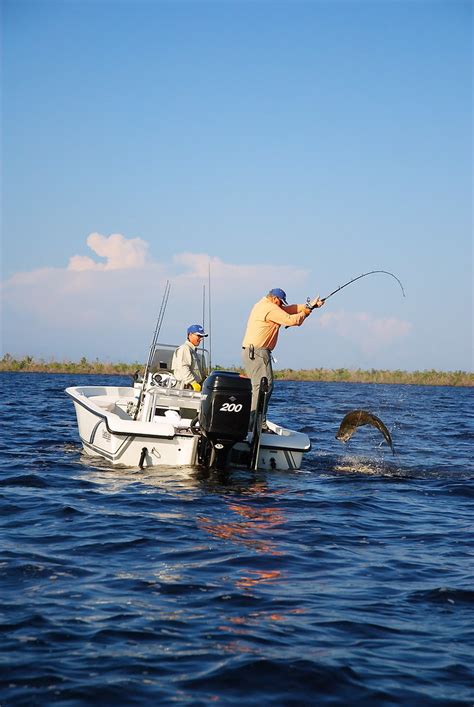 Jumping Tarpon Vertical 2 | Larry Bozka | Flickr