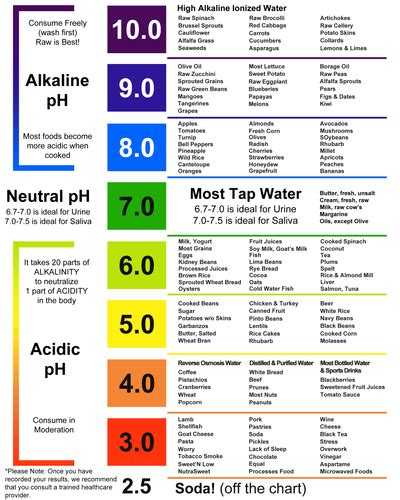 What Food Should We Eat for a Normal pH Level? | Just Fitter