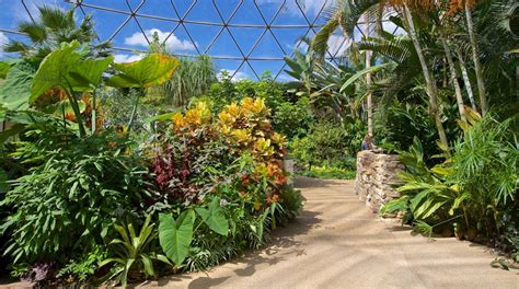 Greater Des Moines Botanical Garden in Des Moines | Expedia