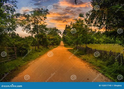 Empty Country Road at Sunset with Green Fields and Trees on Both Sides ...