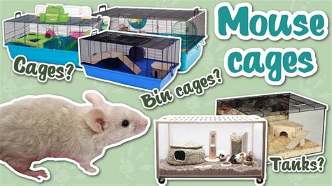 Pet Mouse Cage