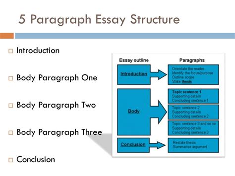 PPT - 5 Paragraph Essay Structure PowerPoint Presentation, free ...