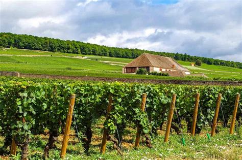 Back roads of Burgundy, part 1: the Côte de Beaune - Decanter