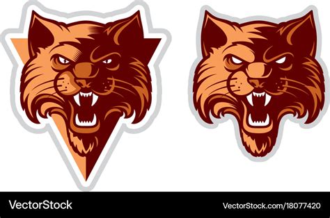 Wildcat head logo Royalty Free Vector Image - VectorStock