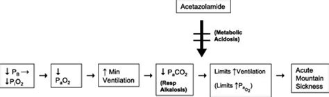 Mechanisms of action of acetazolamide in the prophylaxis and treatment ...