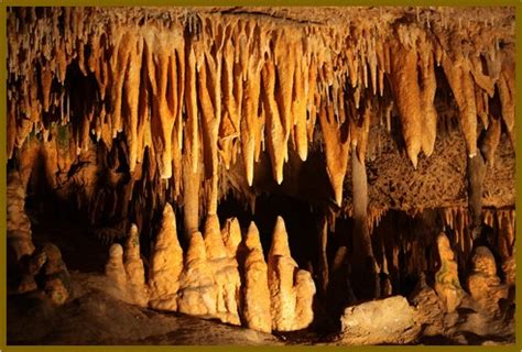 RAPID STALAGMITES FORM IN YEARS NOT CENTURIES – Evolution is a Myth