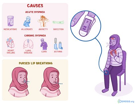 Dyspnea: What Is It, Pronunciation, Causes | Osmosis