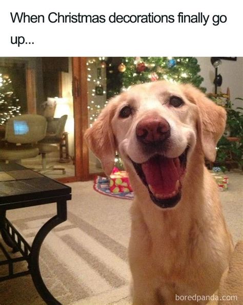 20 Hilarious Christmas Memes to Get You in the Holiday Spirit