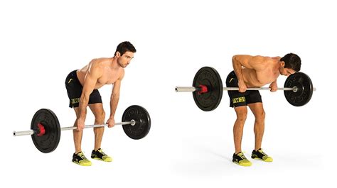 8 Row Variations To Build A Strong Back | AFA Blog