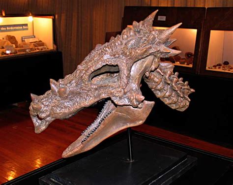 Louisville Fossils and Beyond: Dracorex hogwartsia