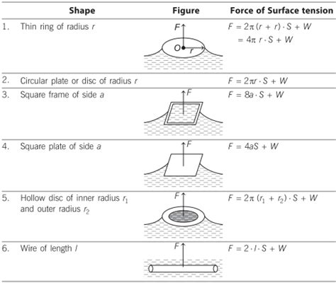 Cohesive Force in Physics | Definition, Examples – Surface Tension ...