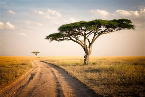 Maravillas de África que debes de conocer antes de morir y que te ...