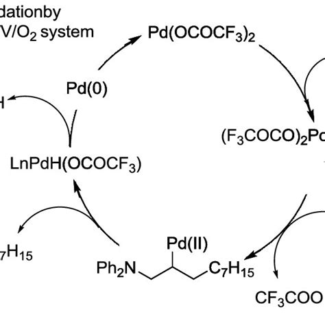 Scheme 6. Another possible reaction mechanism (aza-Wacker process ...