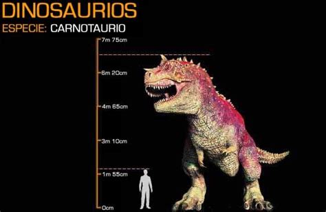 Image - Carnotaurus Size.jpg - Disney Wiki