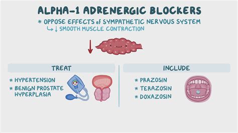 Alpha-1 adrenergic blockers: Nursing pharmacology - Osmosis Video Library