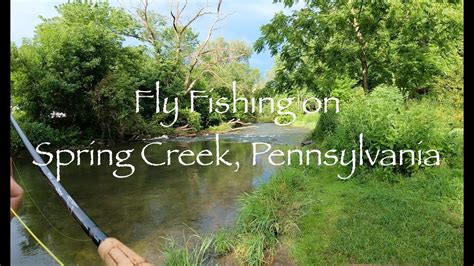 Summer Fly Fishing on Spring Creek, Pennsylvania (Fisherman's Paradise ...