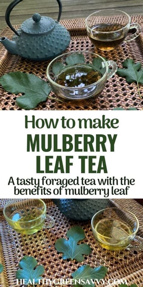 Mulberry Tree Leaf Tea ~ Identification, Benefits & Recipe | Recipe ...