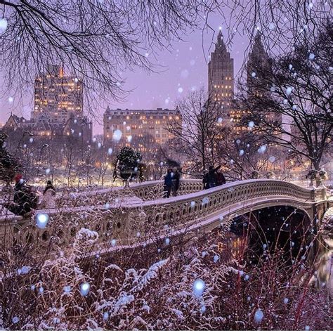 Central Park and snow. | New york christmas, Winter scenes, Scenery