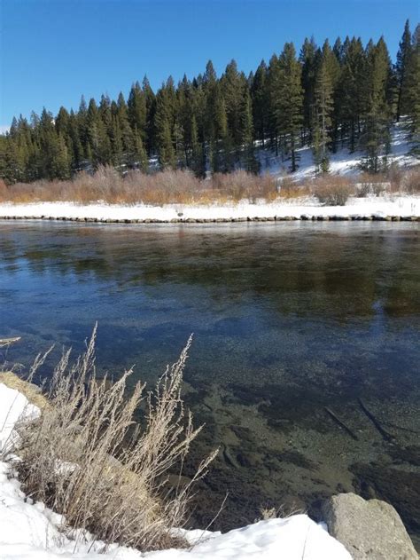 Pin by Antonio Martinez on Fly Fishing Island Park, Idaho | Island park ...