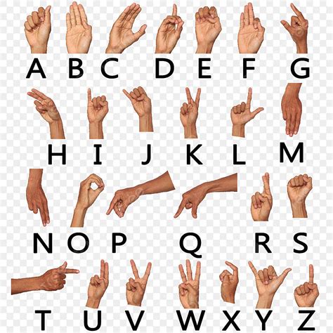 American Sign Language Fingerspelling Chart