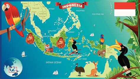 Peta Persebaran Flora dan Fauna di Indonesia 2023 - Petani Digital