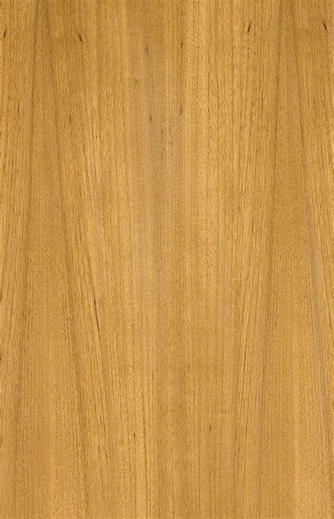 Teak Grain Less | Texturas, Especies