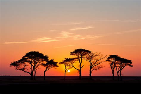 Empty Field At The Sunset Background, Background, Wallpapers, Sunset ...