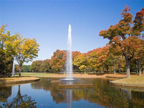 Yoyogi Park - tokyoisours.com