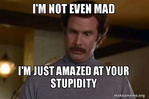 I'm not even mad I'm just amazed at your stupidity - Ron Burgundy I am ...