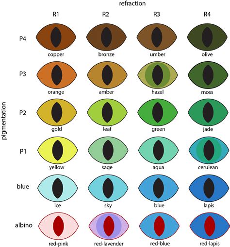 8 best eye color chart genetics images in 2020 eye color chart eye ...