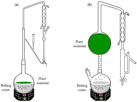 Clevenger Apparatus Essential Oil Extraction