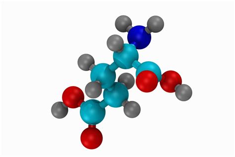 Amino Acids General Structure