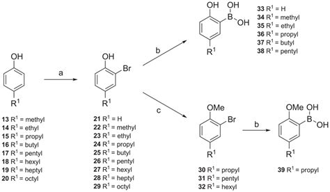 Synthesis of intermeditates. (a) Br2, NaHCO3, CHCl3, 0°C; (b) three ...