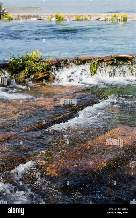 Giant Springs State Park, Great Falls, Montana, USA Stock Photo - Alamy