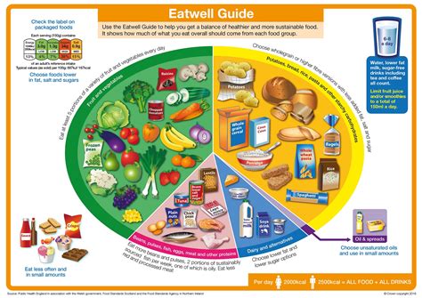 Answering a fundamental question: “What is a healthy, balanced diet ...