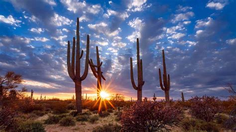 Living in Sun City AZ ️☀️⛳️ | Guide to the Famous Sun City Arizona ...